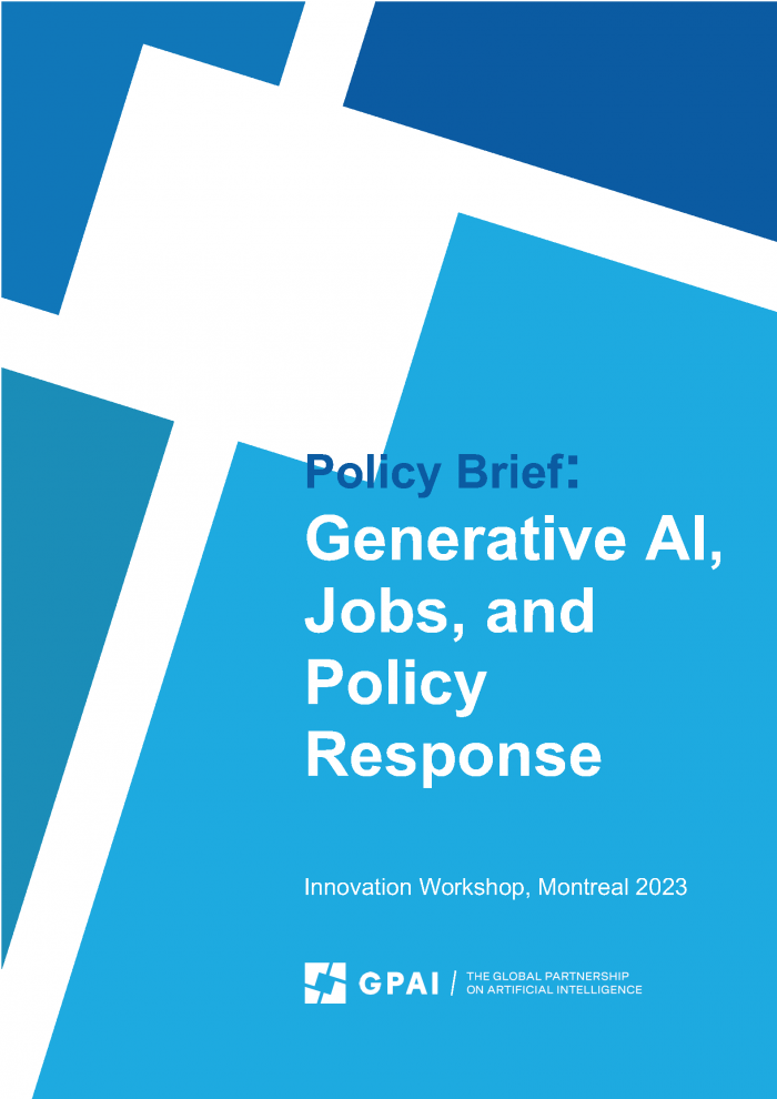 Policy Brief -The big unknown cover page