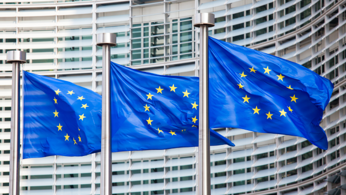EU flags